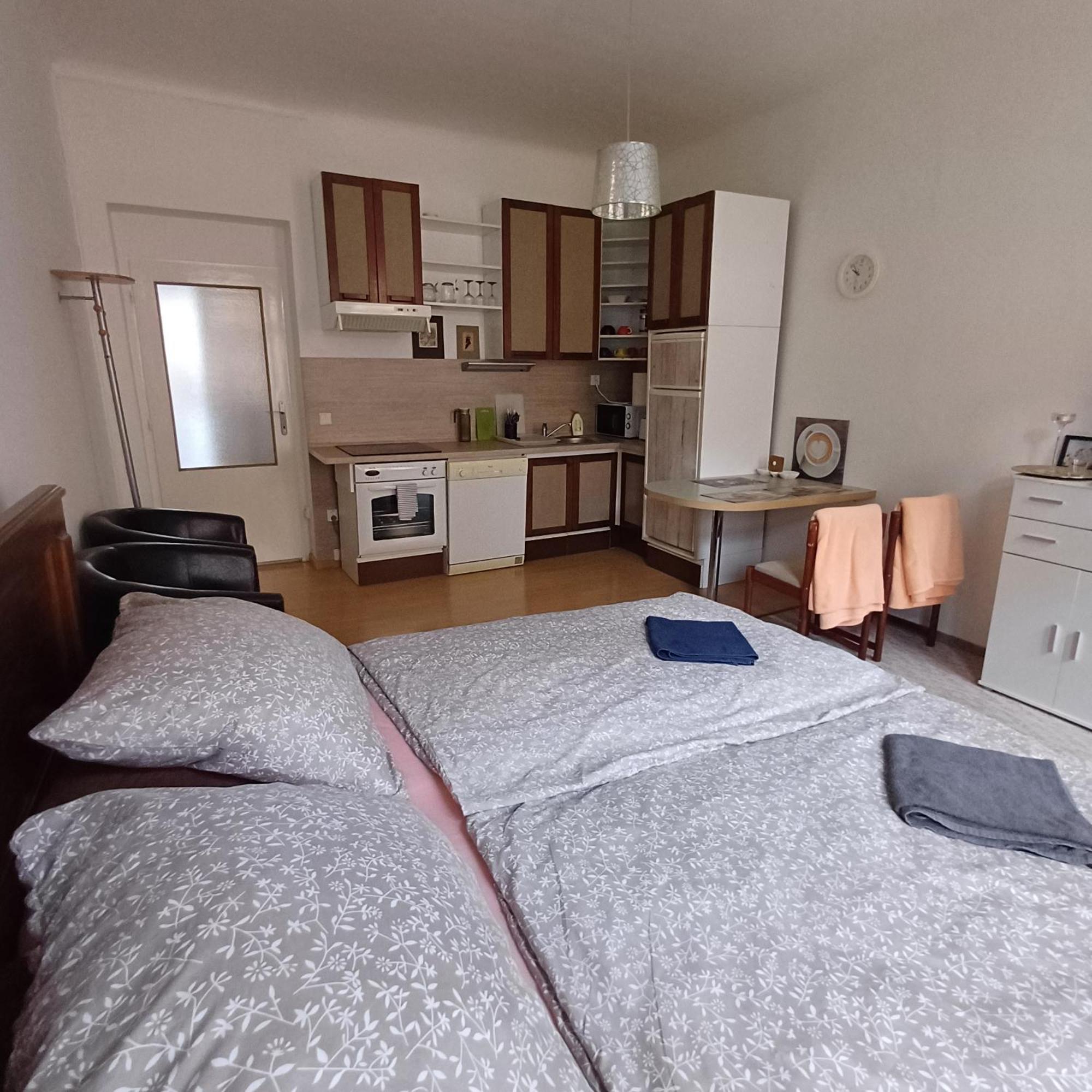 Ap 4 Alice Suite Near Vridlo Collonade Karlovy Vary Exterior foto
